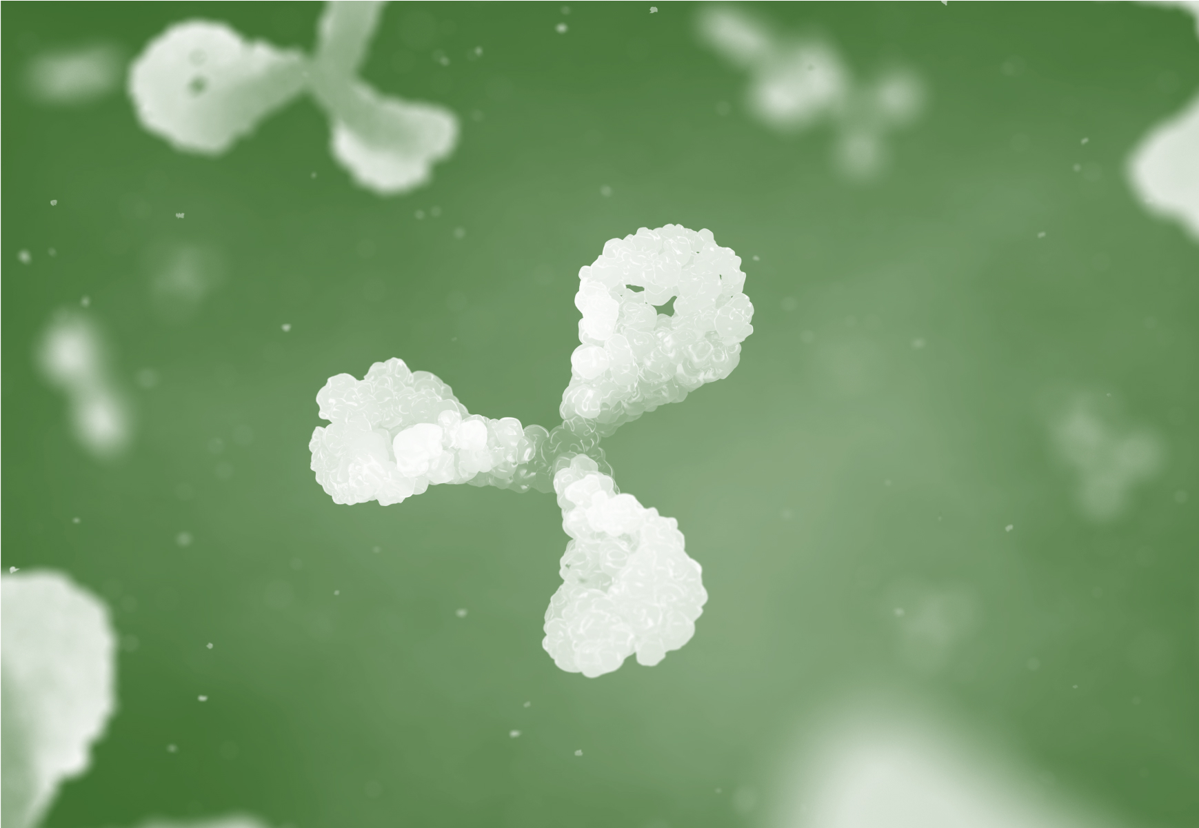 An illustration of an antibody. Antibodies, also called immunoglobulins, are proteins produced by the immune system in response to the presence of foreign substances like bacteria and viruses. 
