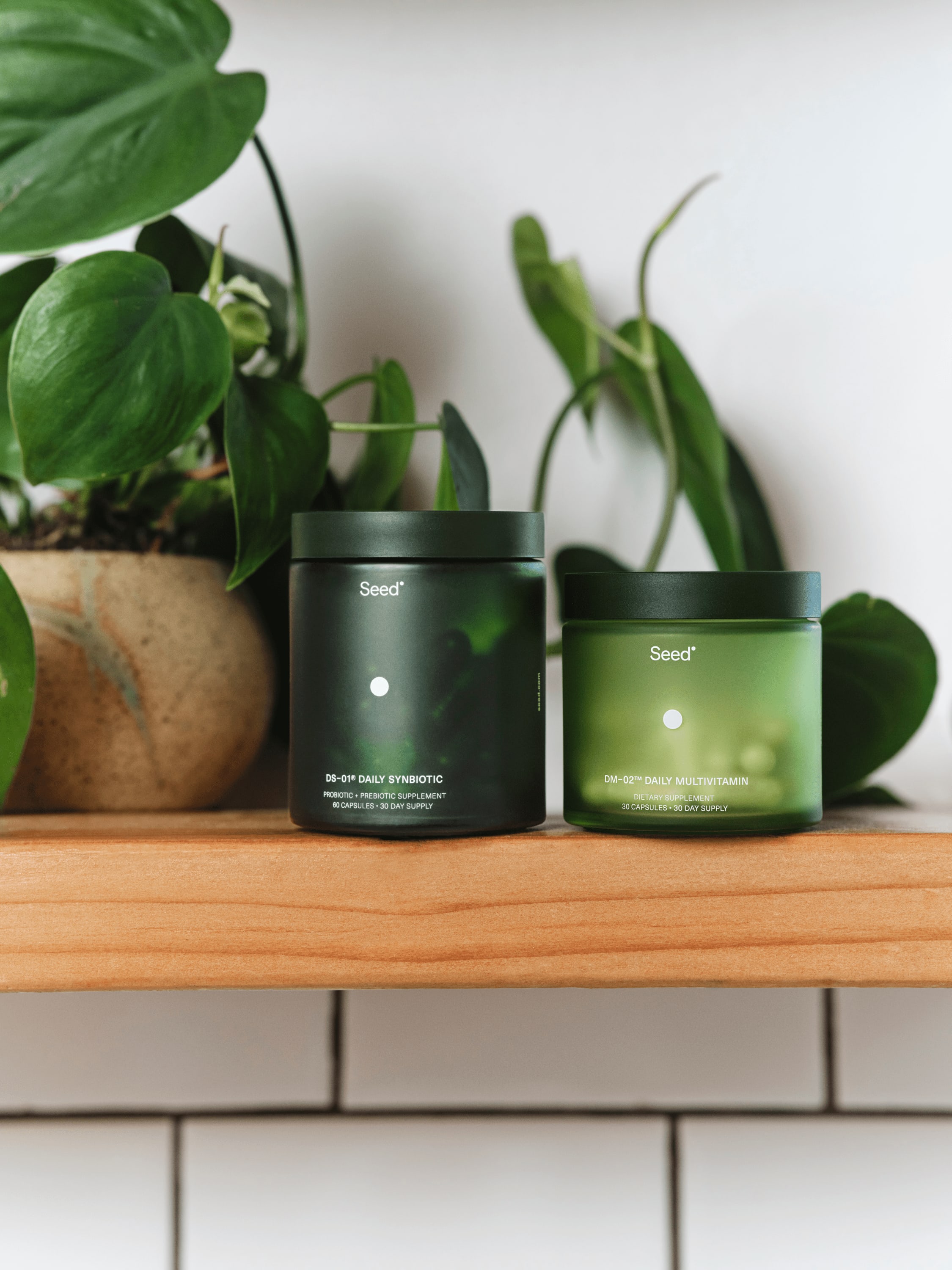 A jar of DS-10 and a jar of DM-02 with plant behind them