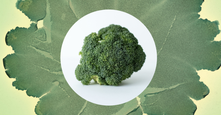 Superfoods for your microbes - broccoli