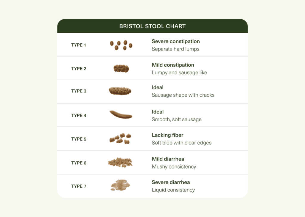 Bristol Stool Chart showing seven stool types from severe constipation to severe diarrhea with descriptions.