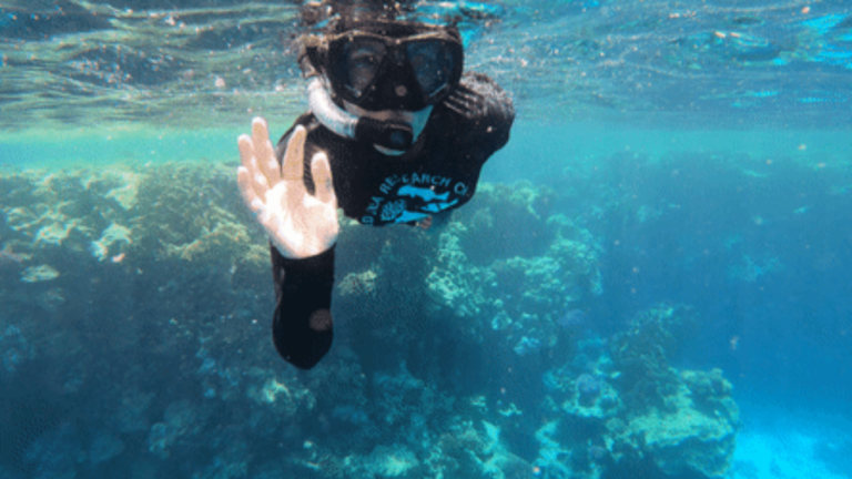 A scuba diver waving