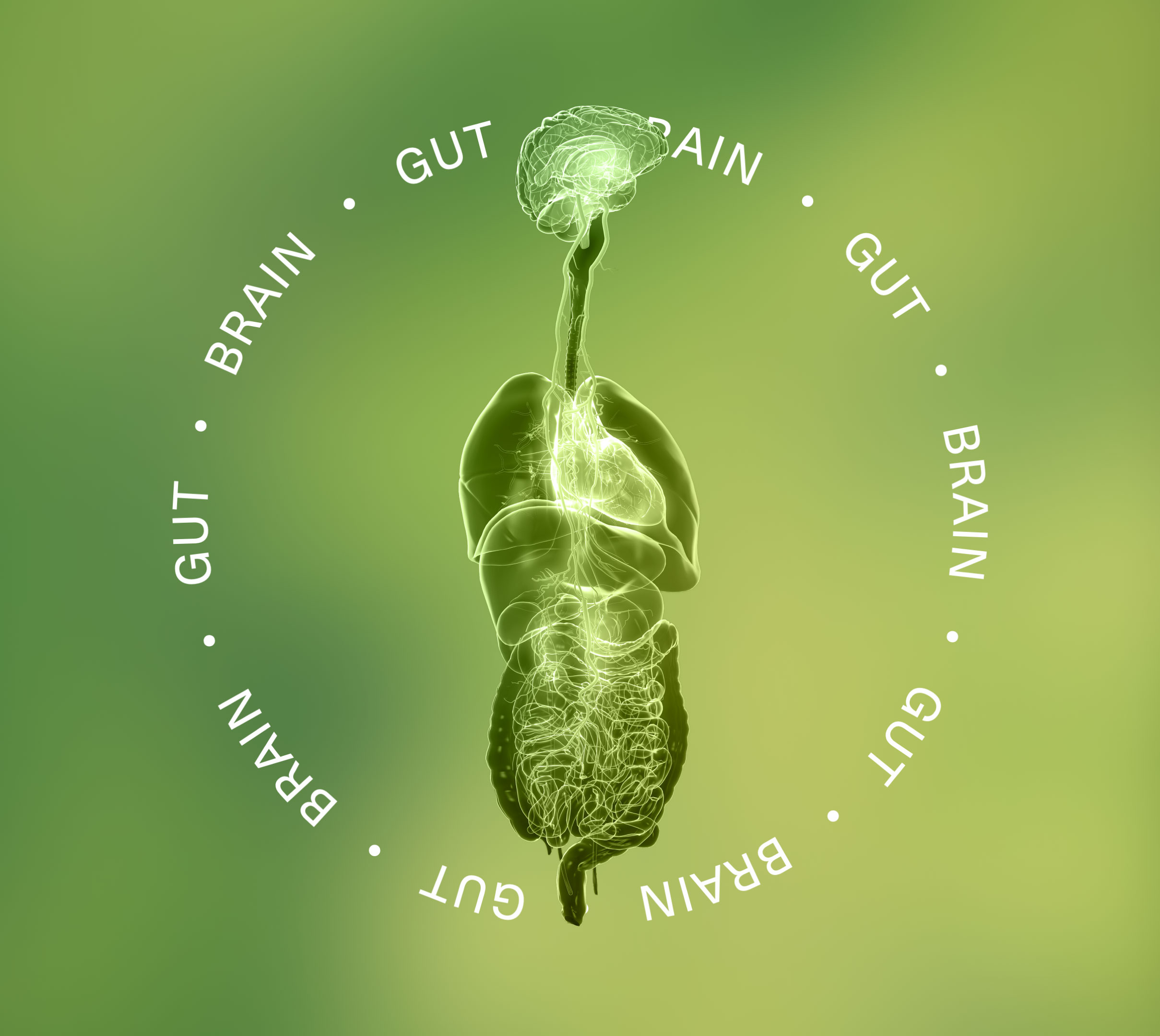 Unlocking New Potential in the Gut-Brain Axis