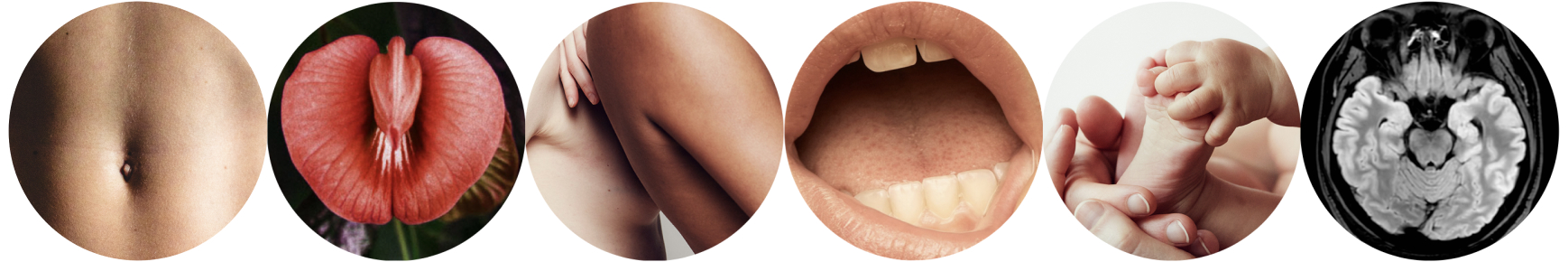 Image of a human abdomen, a flower that resembles female genitalia, two human shoulders touching, a human mouth, an infant's feet, and an x-ray of a human digestive system