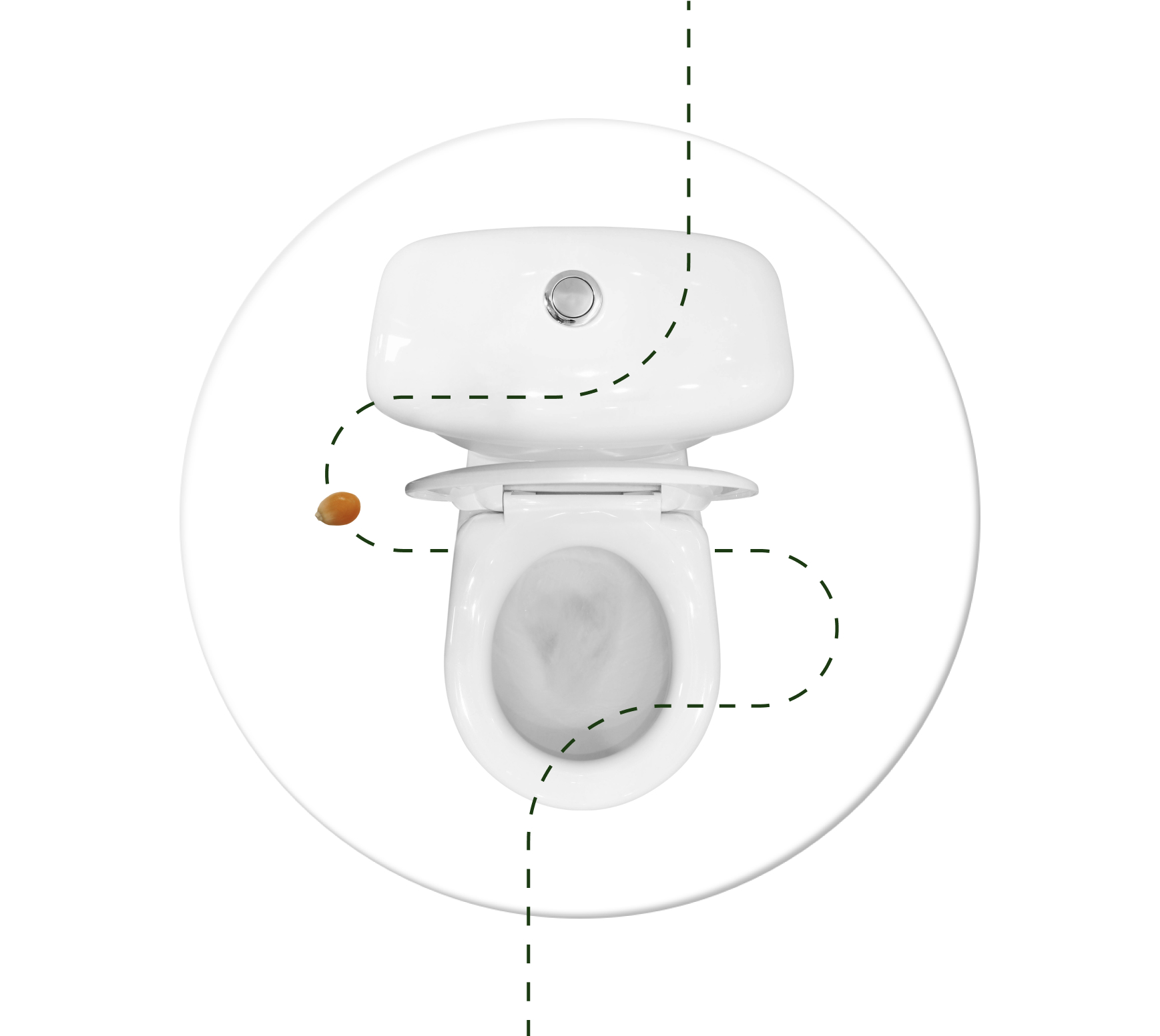 Top view of a white toilet with a dashed line and a small brown object nearby.
