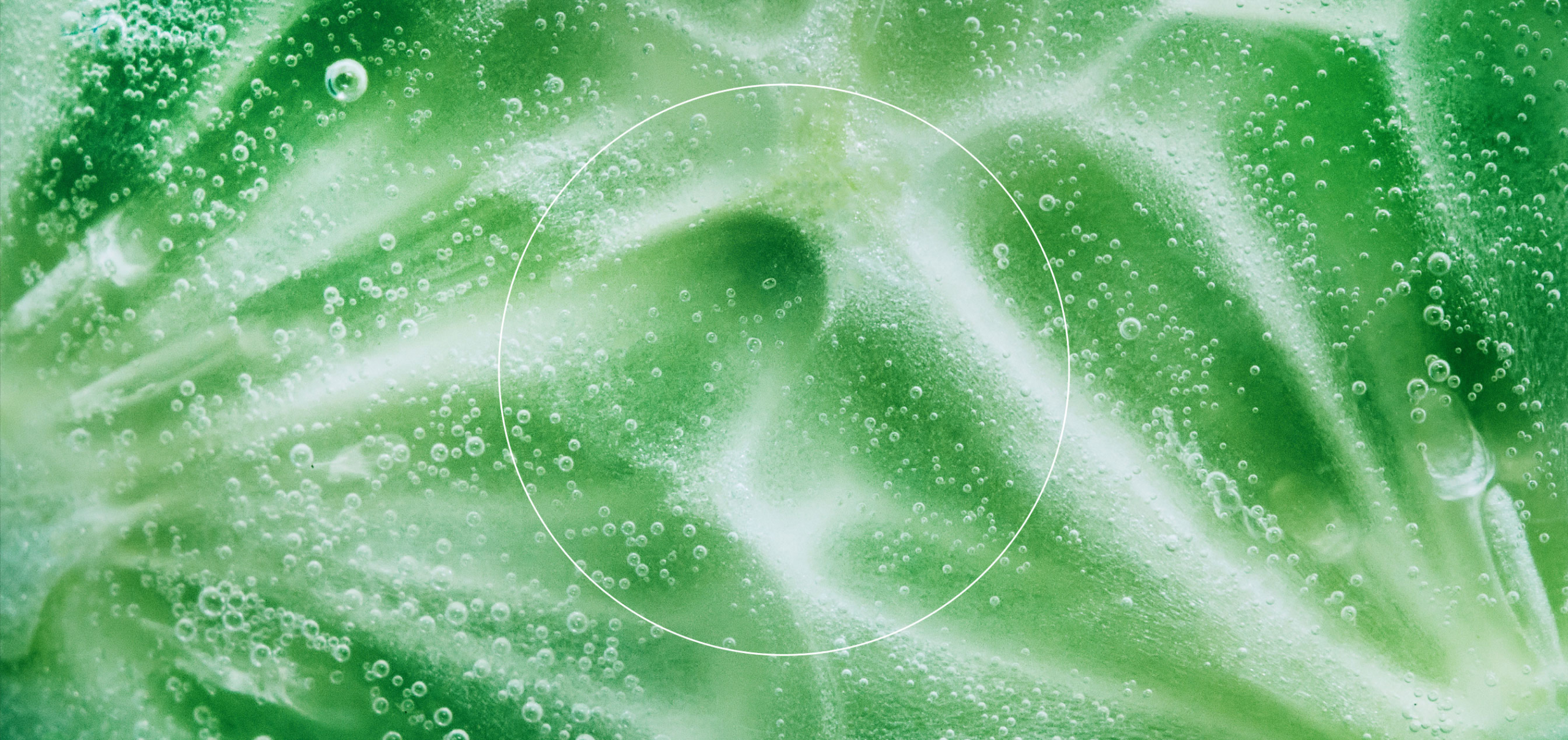 What Is the “Best” Diet for Your Gut?