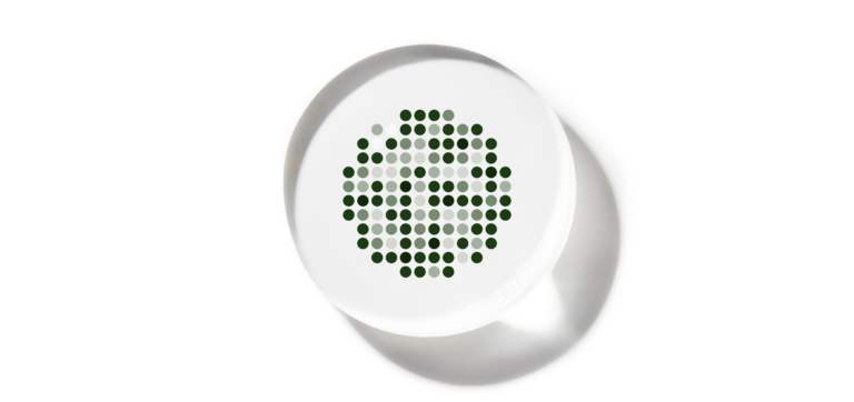Round white object with a pattern of dark and light green dots in a circular arrangement