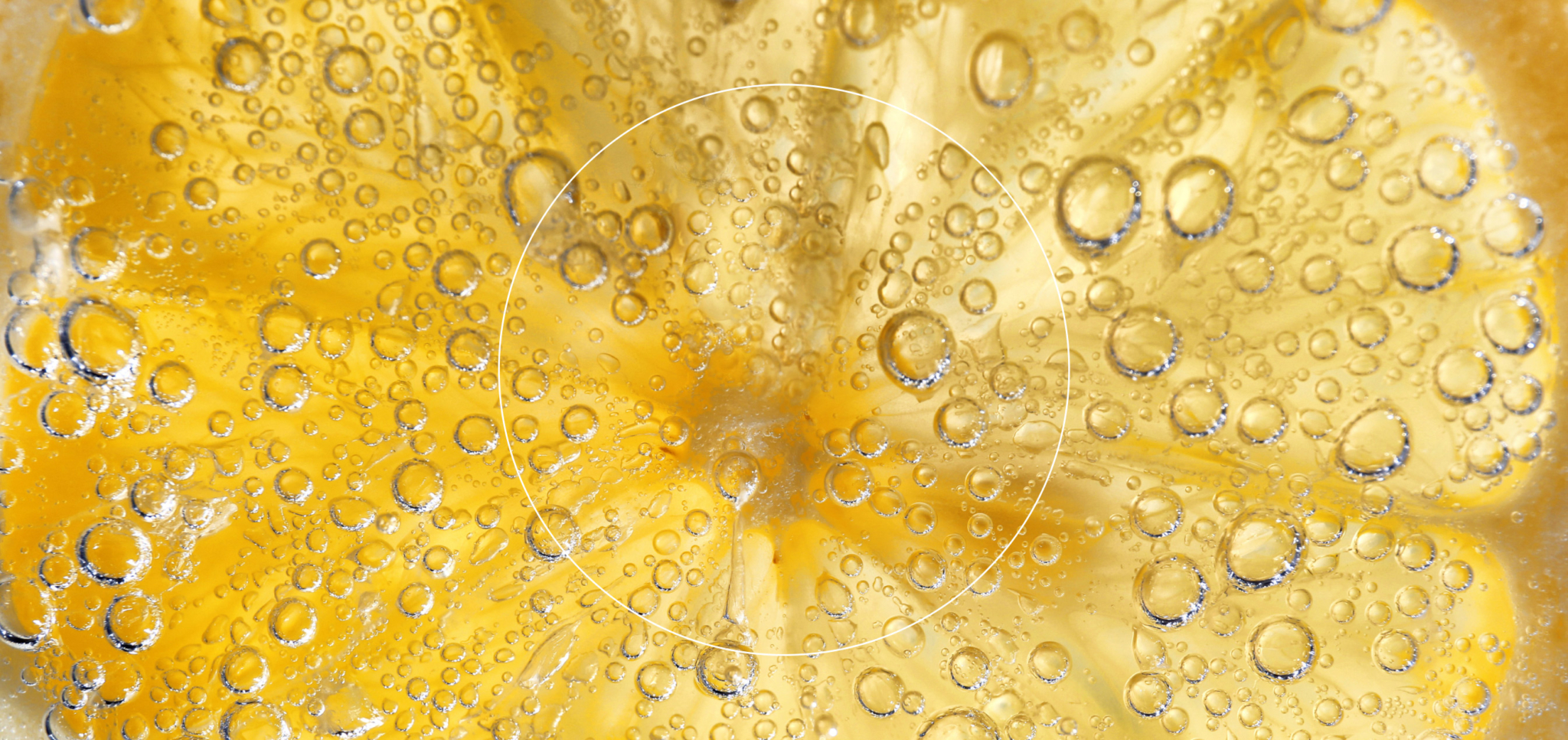 Lemon slice submerged in sparkling water with bubbles clinging to the surface