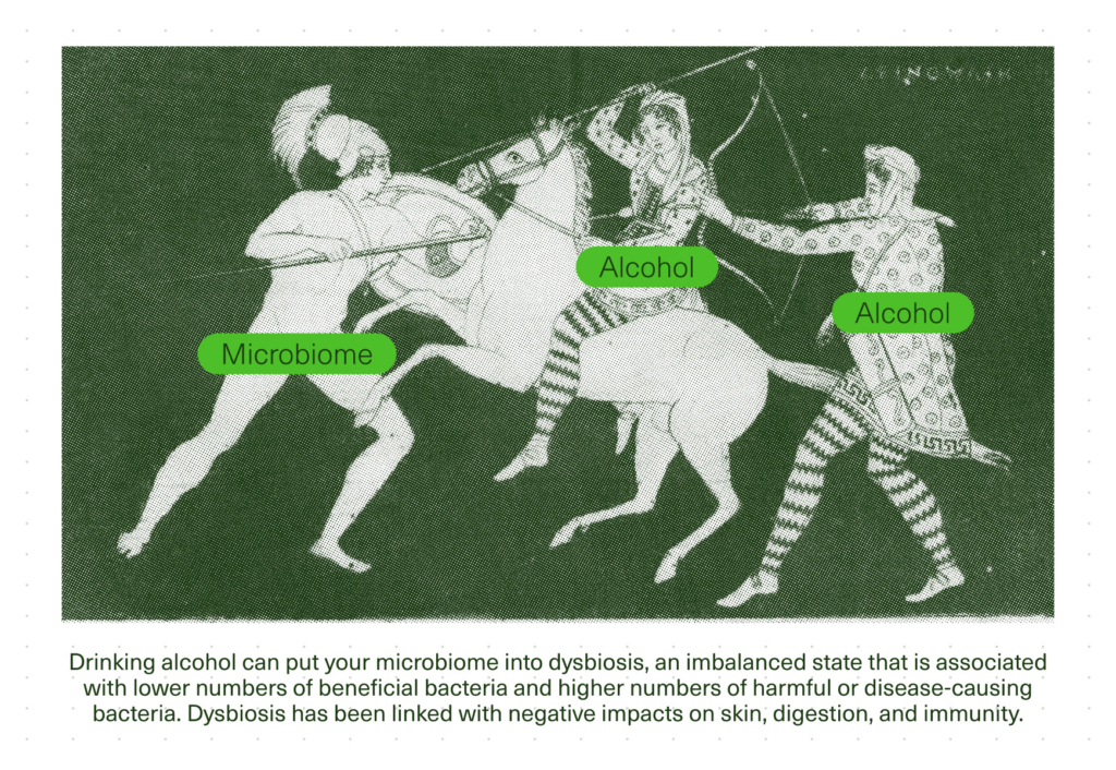 Medieval-style illustration showing a conflict labeled "Microbiome" and "Alcohol" with explanatory text below.