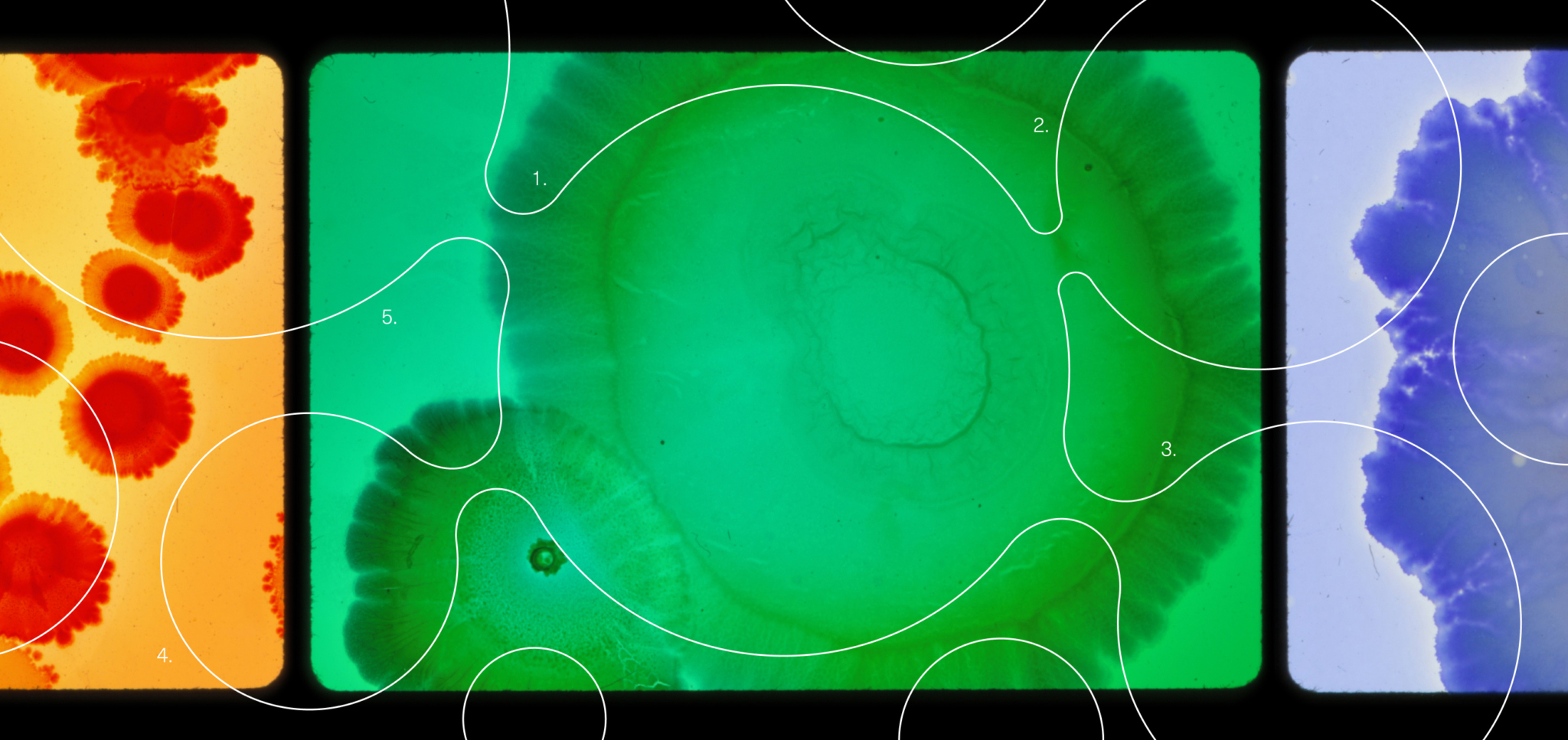 Abstract colorful ink patterns in orange, green, and blue with white contour lines and numbers.