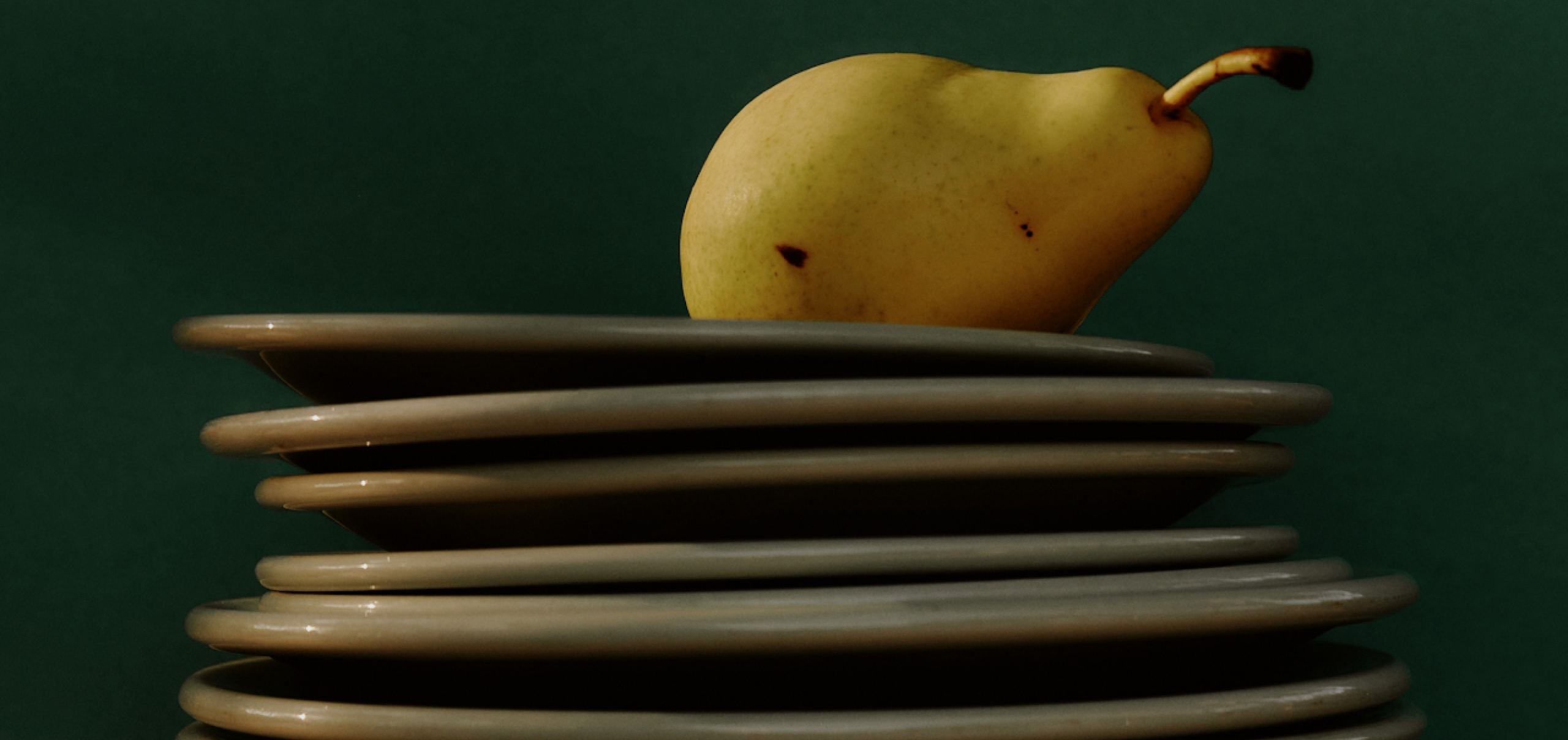 Following the Journey of Your Food: From Eating to Excreting