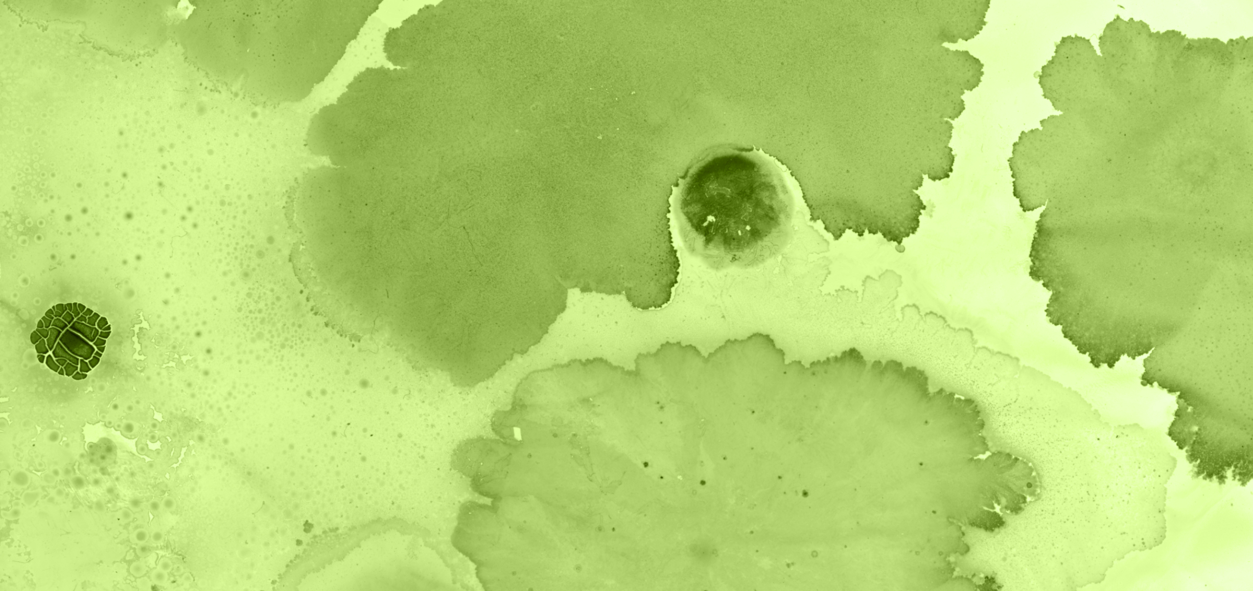 6 Microbiome Studies Our Team Couldn’t Stop Talking About This Year