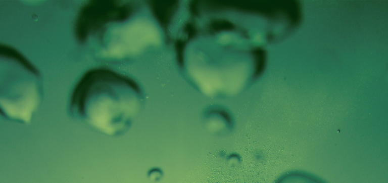 Can Probiotics Cause Diarrhea? What You Should Know