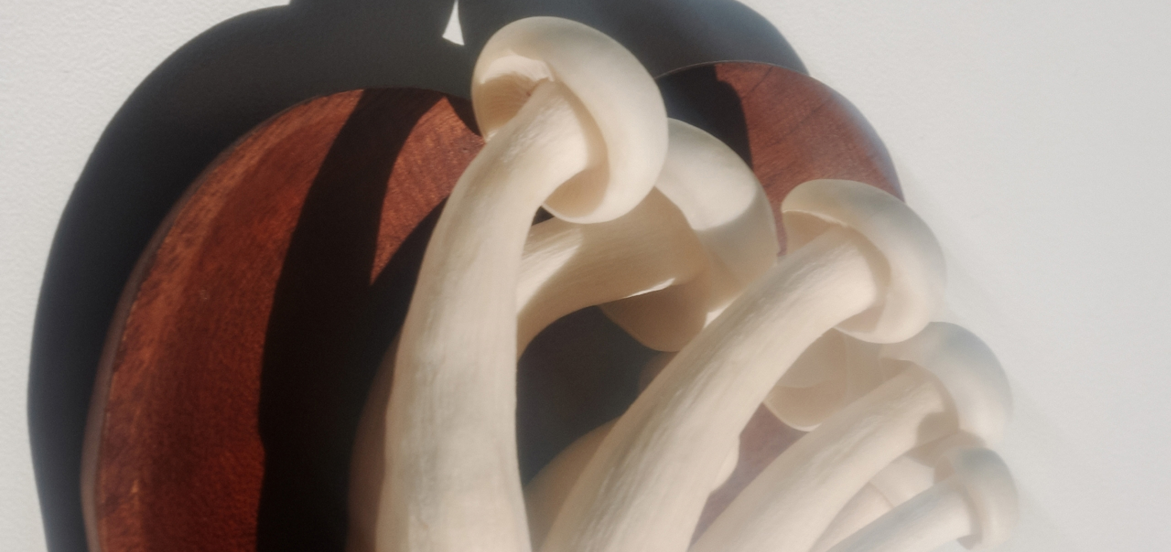 Can You “Heal” Leaky Gut? Here’s What the Science Says