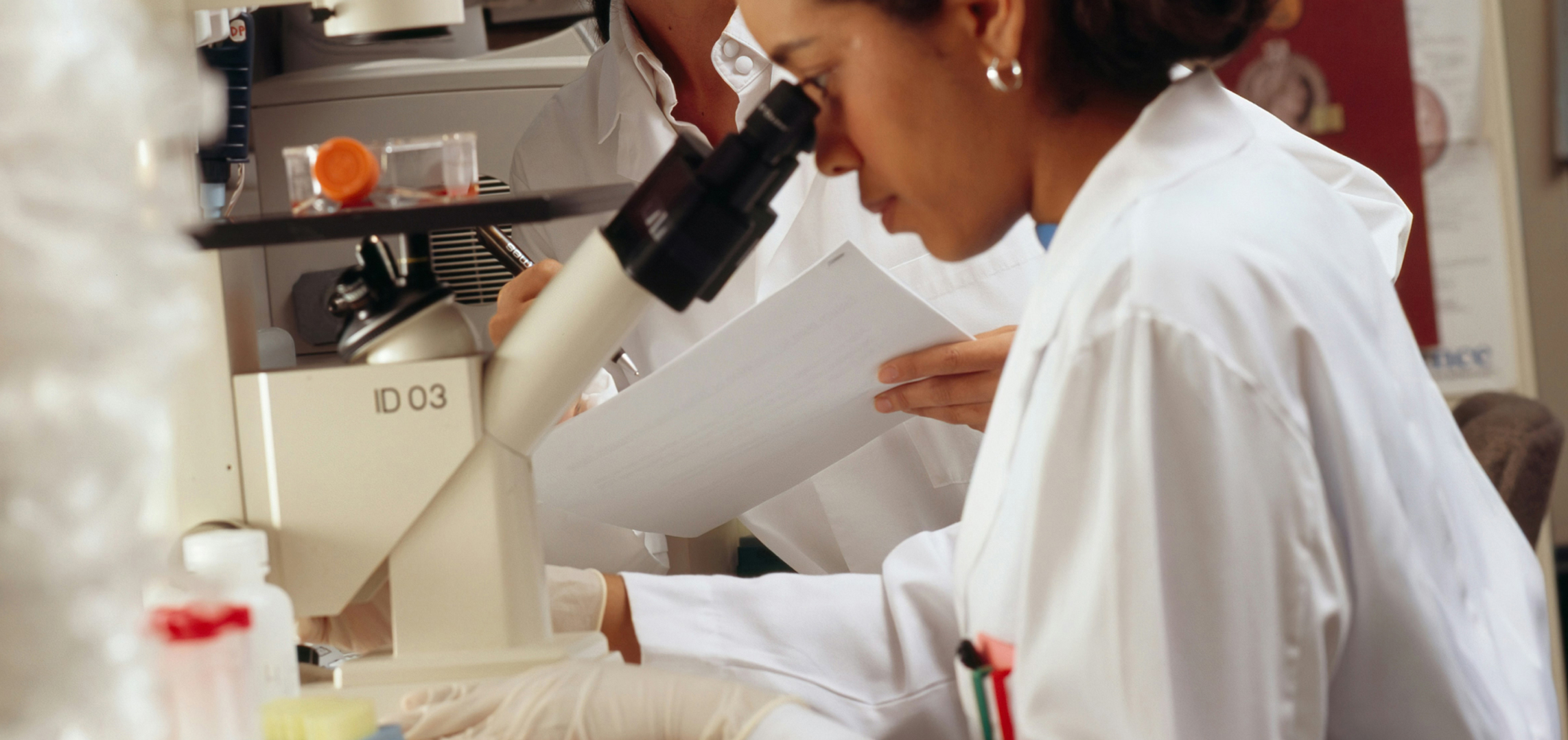 Probiotics for Inflammation: A Science-Based Guide to Gut Health and Immune Balance