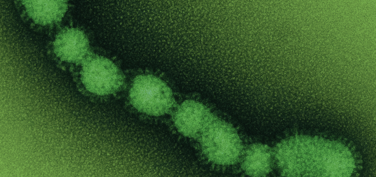 Can Probiotics Help With Food Poisoning?