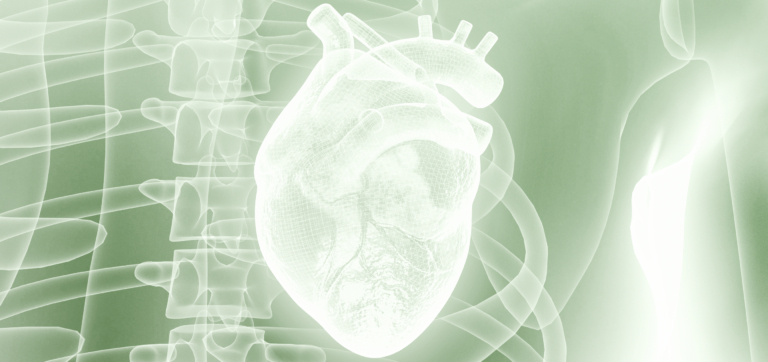 A Guide to Heart Health Supplements: Beyond the Basics