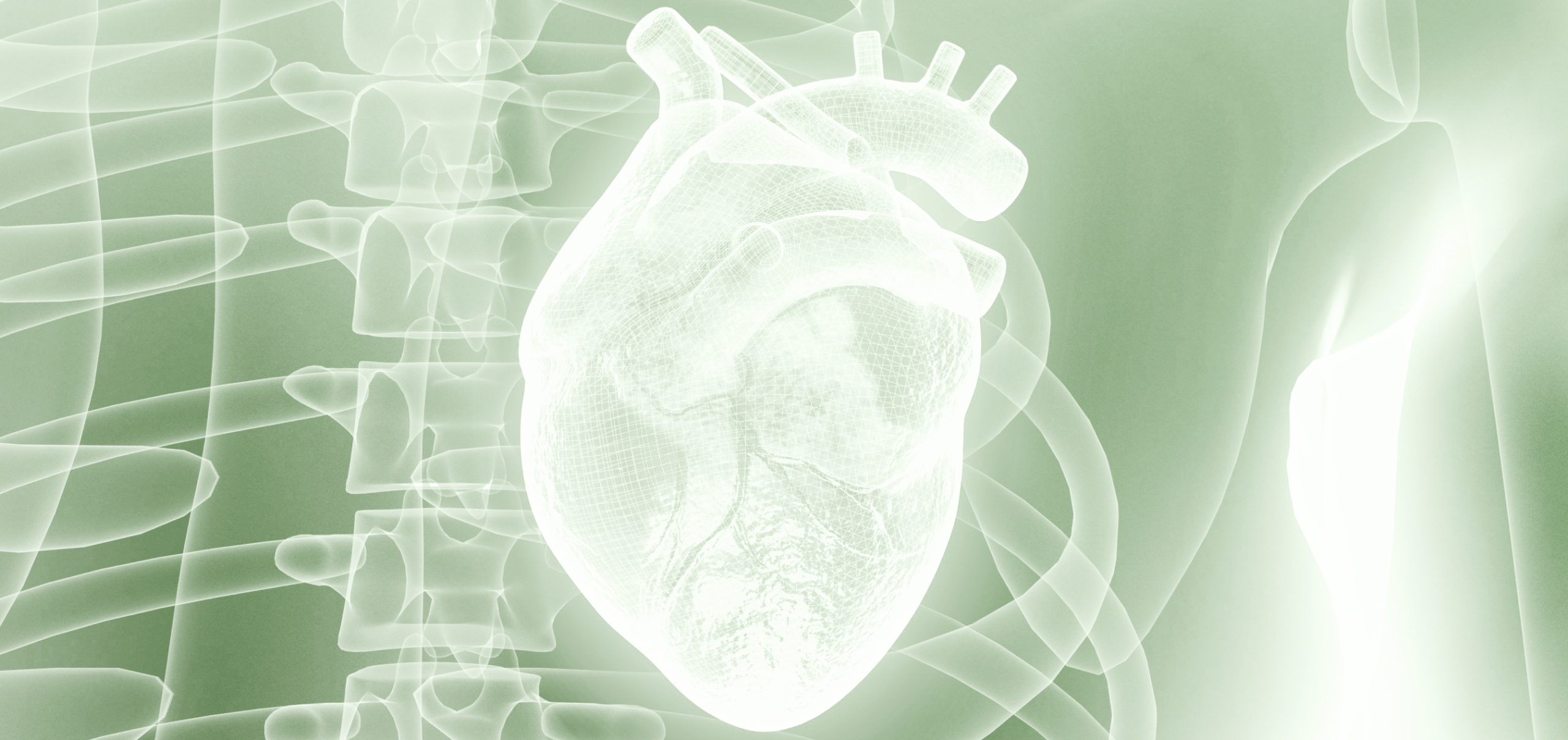 A Guide to Heart Health Supplements: Beyond the Basics