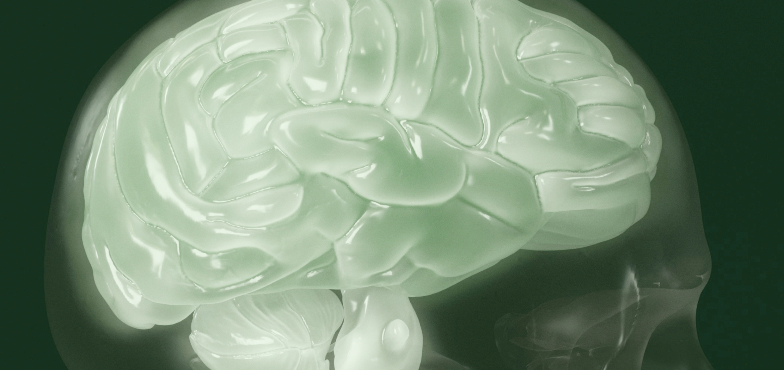 A Guide to the Best Vitamins and Minerals for Brain Health