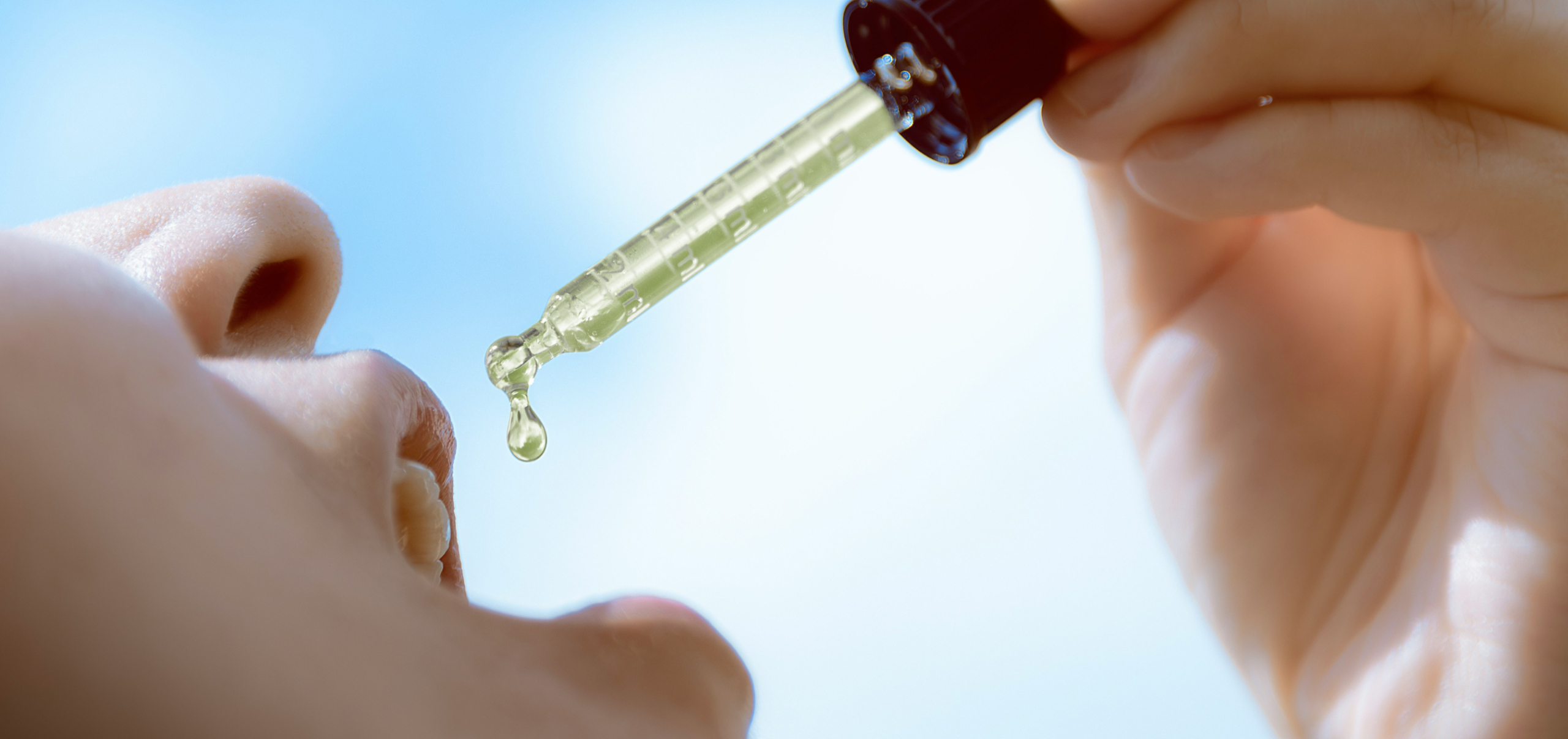 Ashwagandha vs. CBD: Understanding Two Popular Natural Wellness Options