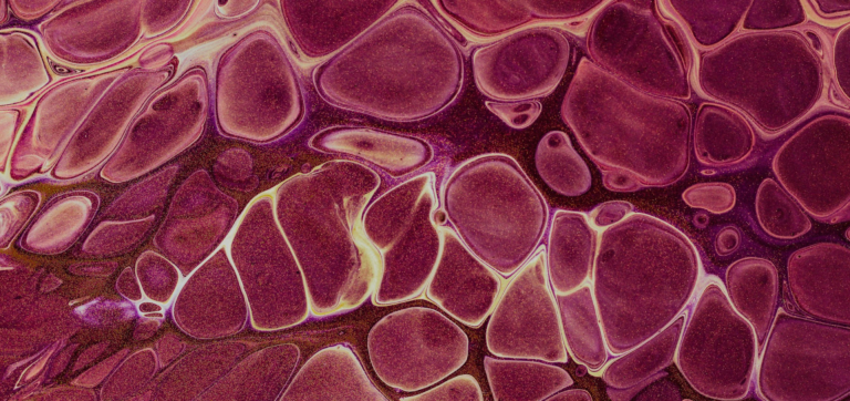 Your Cells Don’t Need Hype. They Need Help.