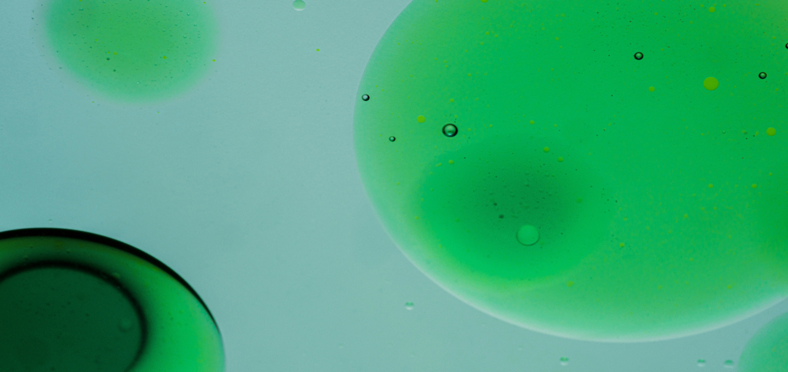 The Best Antioxidant Supplements: A Guide to What Really Works