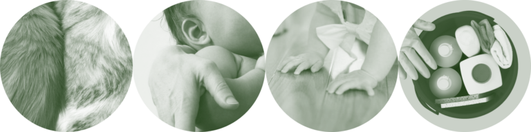 factors that play a role in infant microbiome development