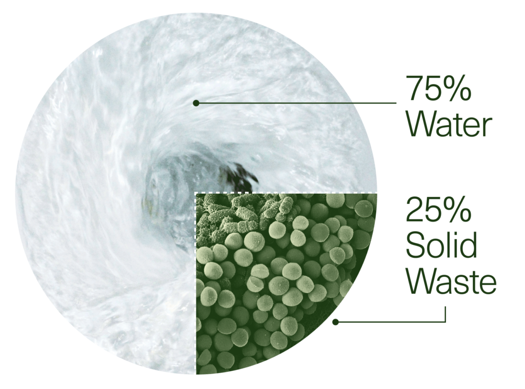 Pie chart showing 75% water and 25% solid waste composition.