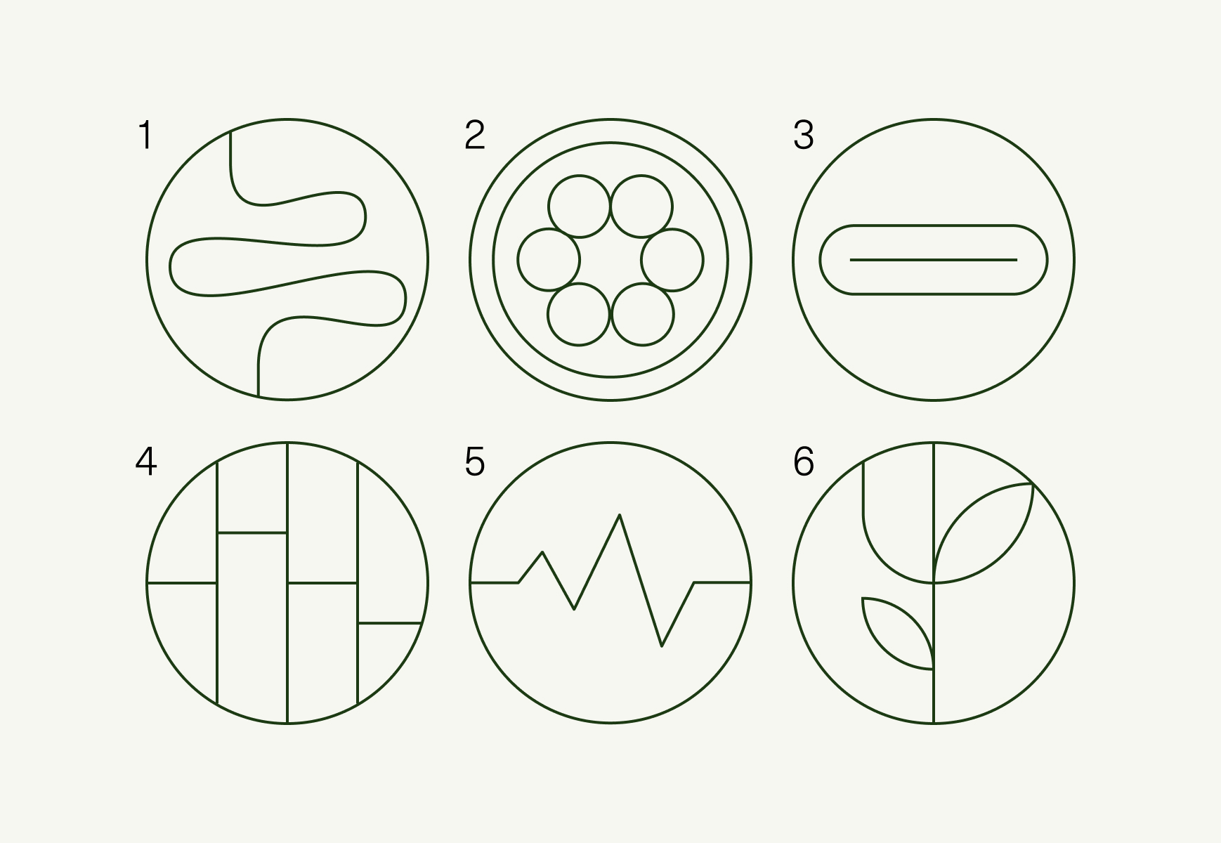 illustration that represents Gastrointestinal health, Gut barrier integrity, Gut immune function, Dermatological health, Cardiovascular health, Micronutrient synthesis