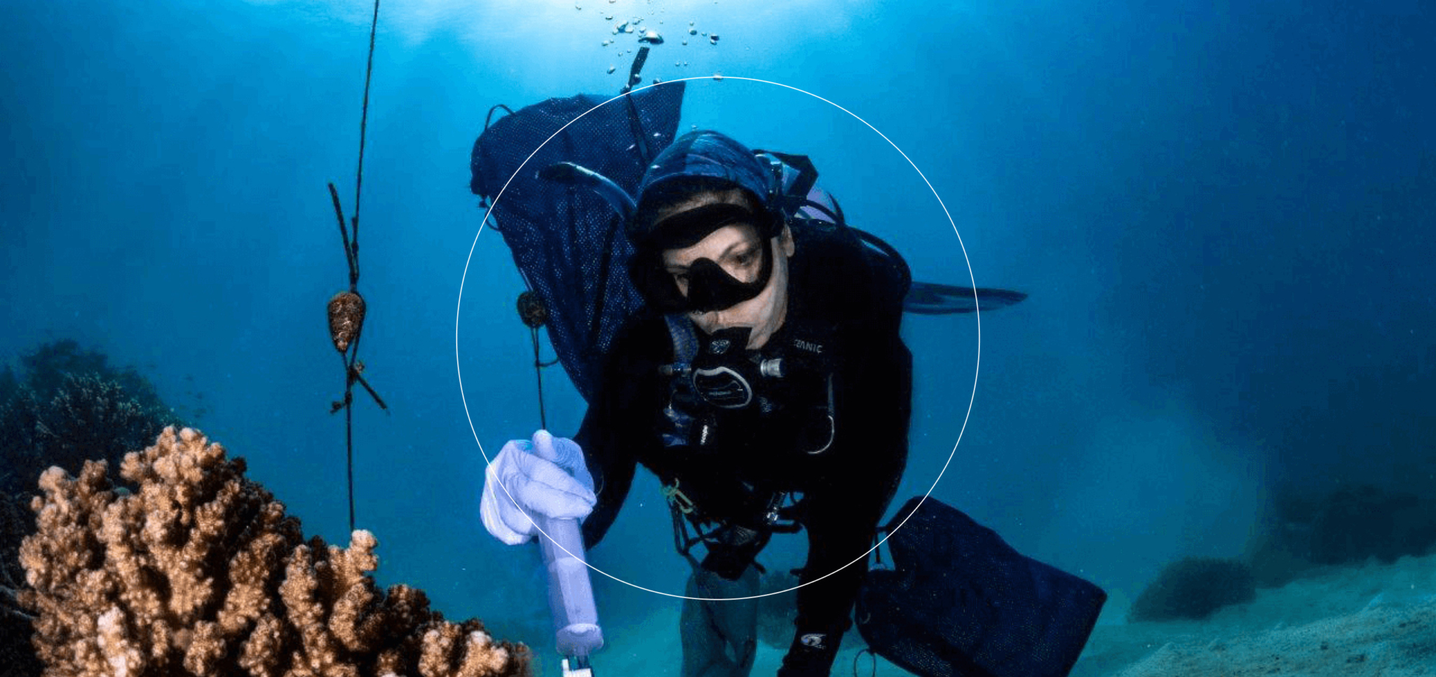 Scuba diver collecting samples near coral reef underwater.