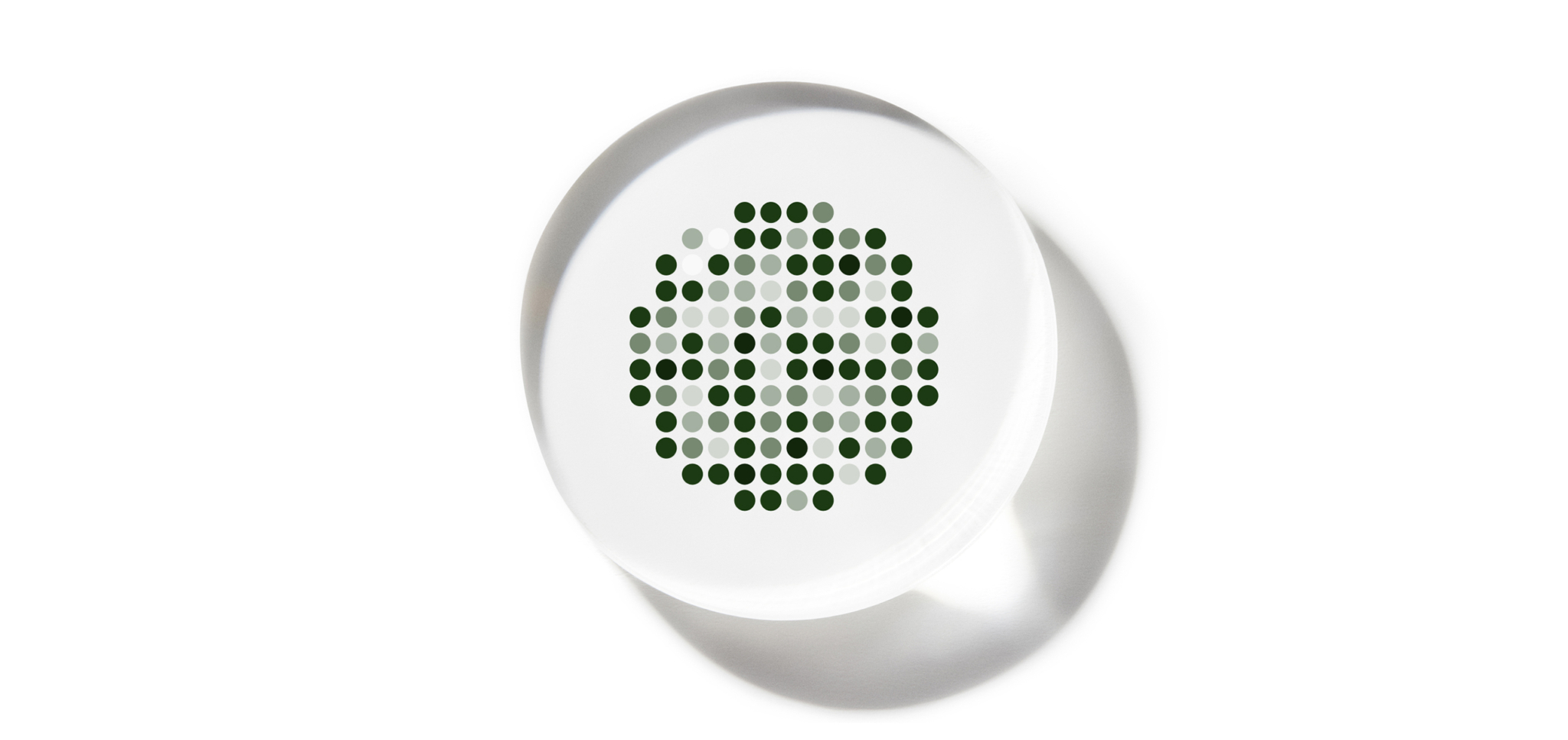 Round white object with a pattern of dark and light green dots in a circular arrangement
