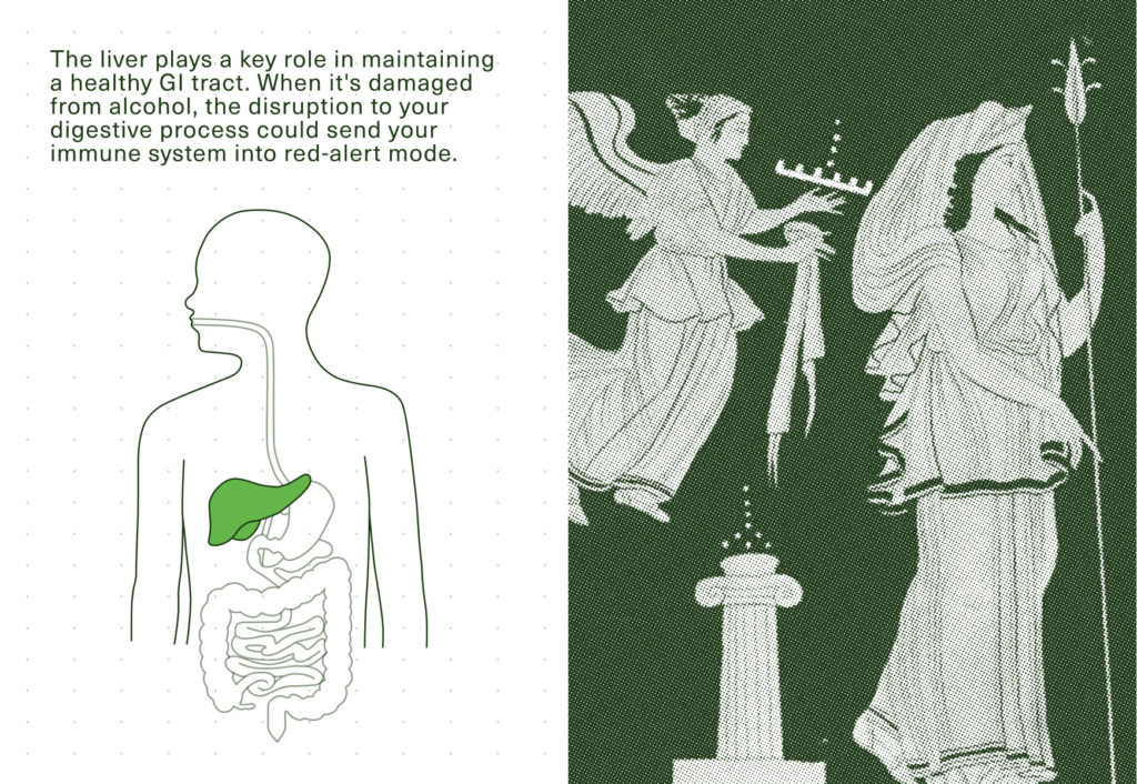 Diagram of human digestive system highlighting the liver with ancient Greek-style artwork on the right side.