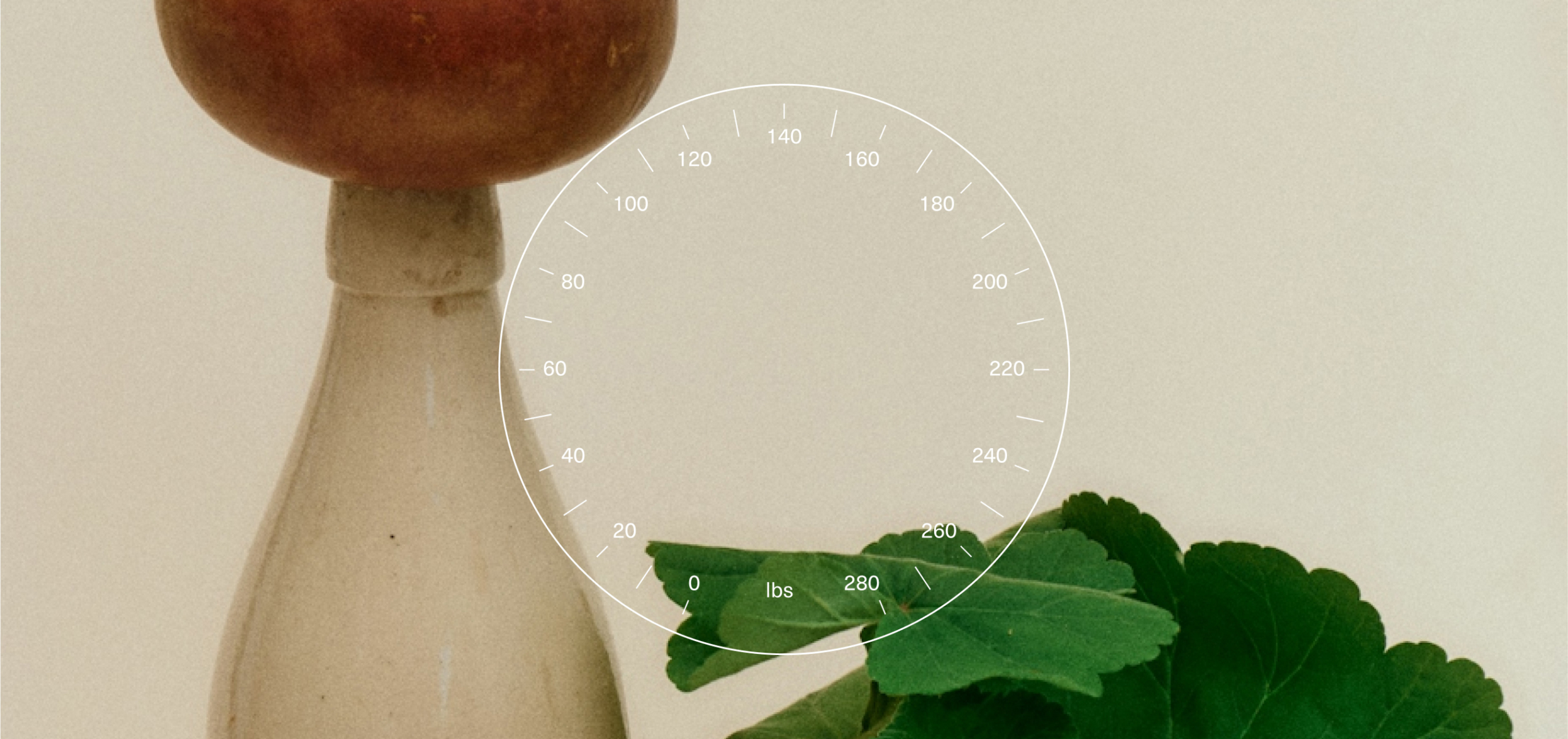 The Microbiome’s Answer to Why Dieting Doesn’t Always Work