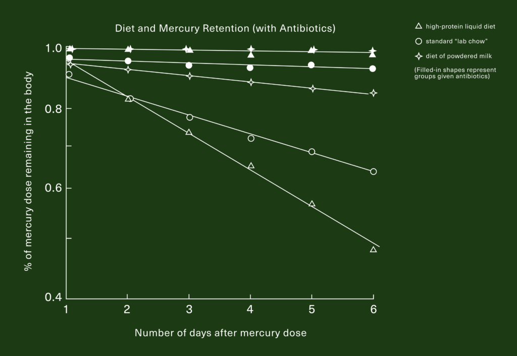 Graph showing mercury retention over six days for three diets with antibiotics.
