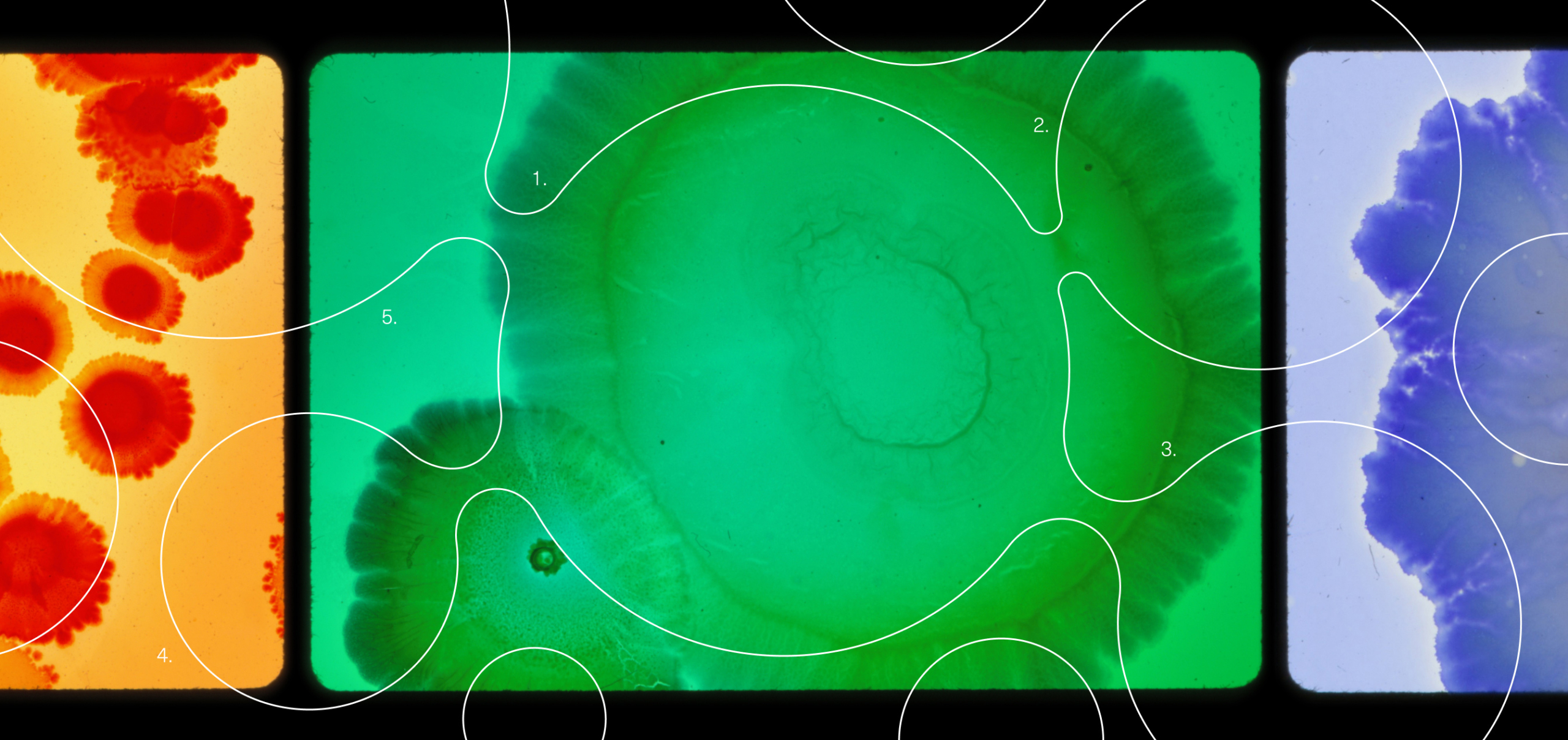 5 Microbiome Myths, Busted in 2023