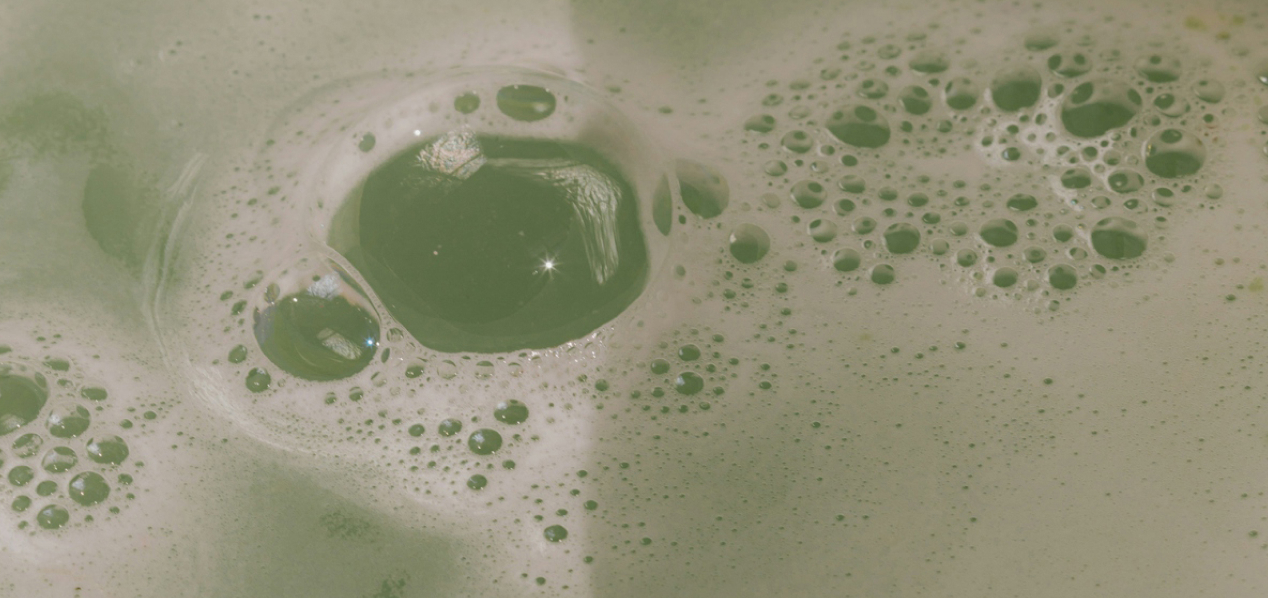 Spring Cleaning With Your Microbiome in Mind