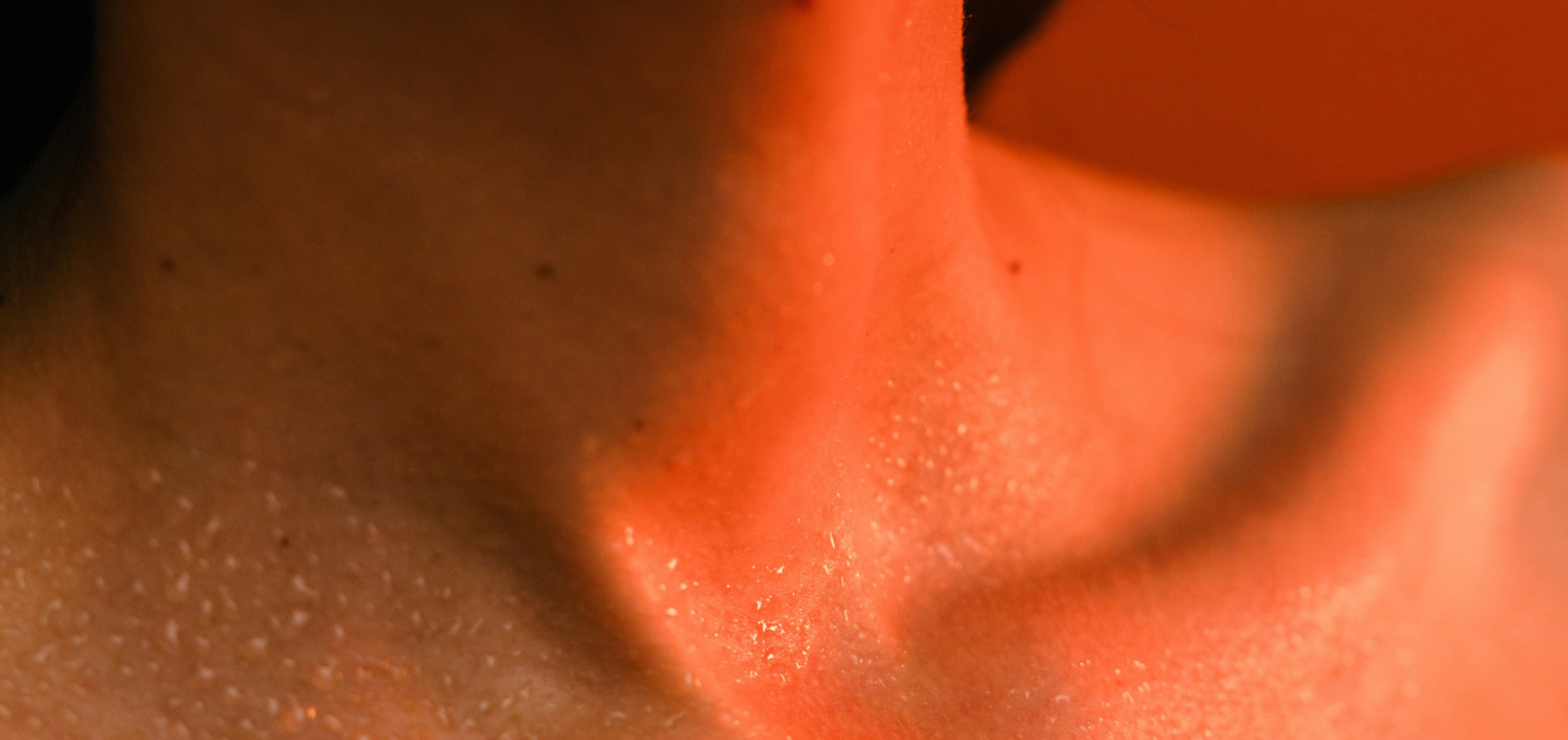 Meet the Microbial Players in the Bedroom