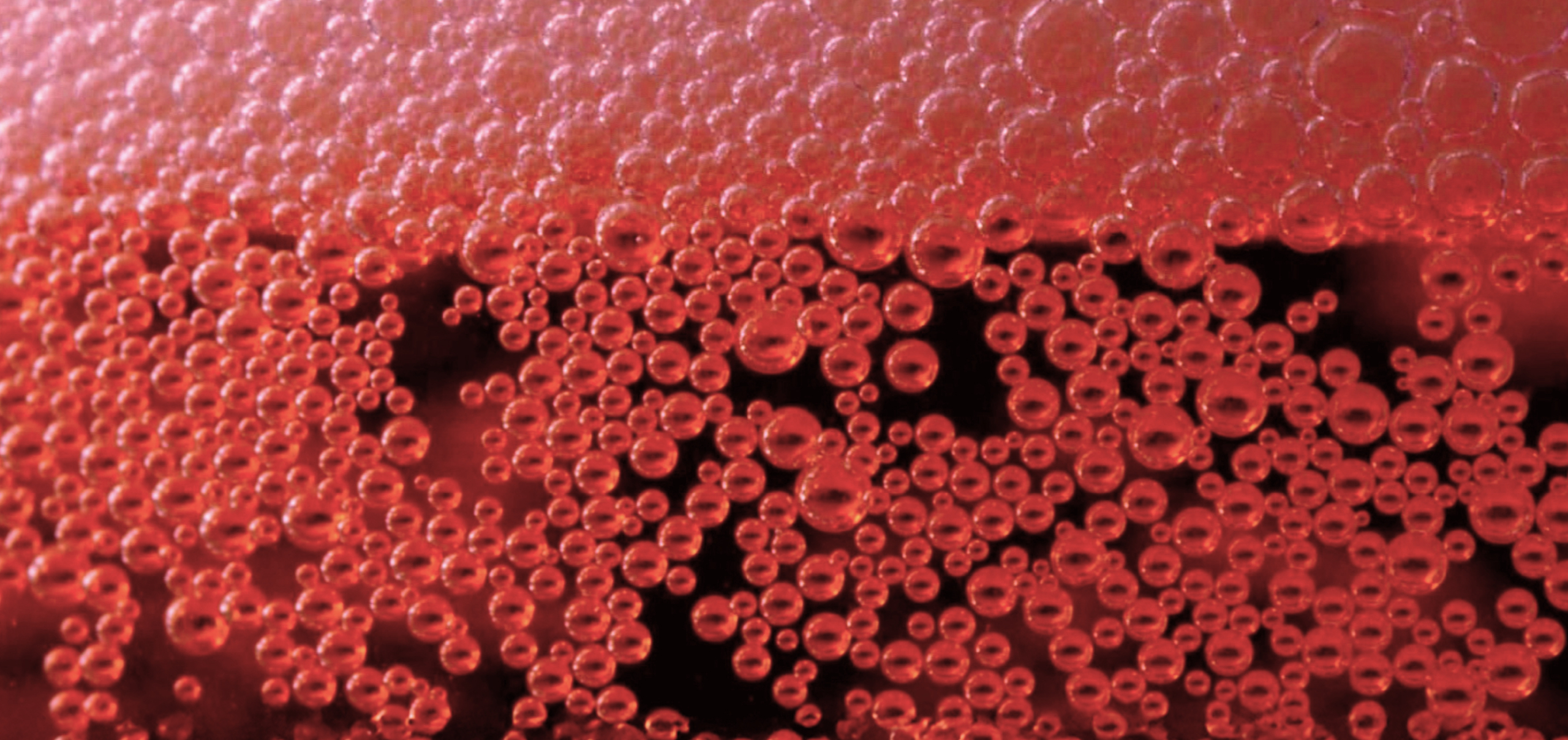 Cultured Check: Are Prebiotic Sodas Actually Doing Anything For Your Gut?