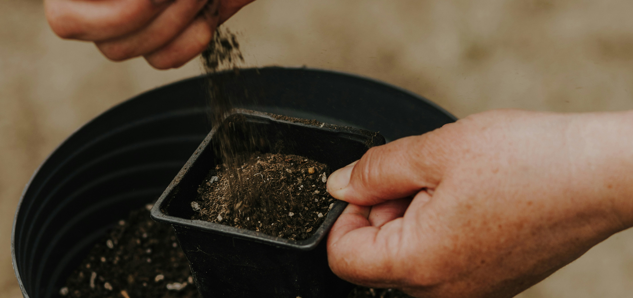 How Soil Microbes Feed the World and Fight Climate Change