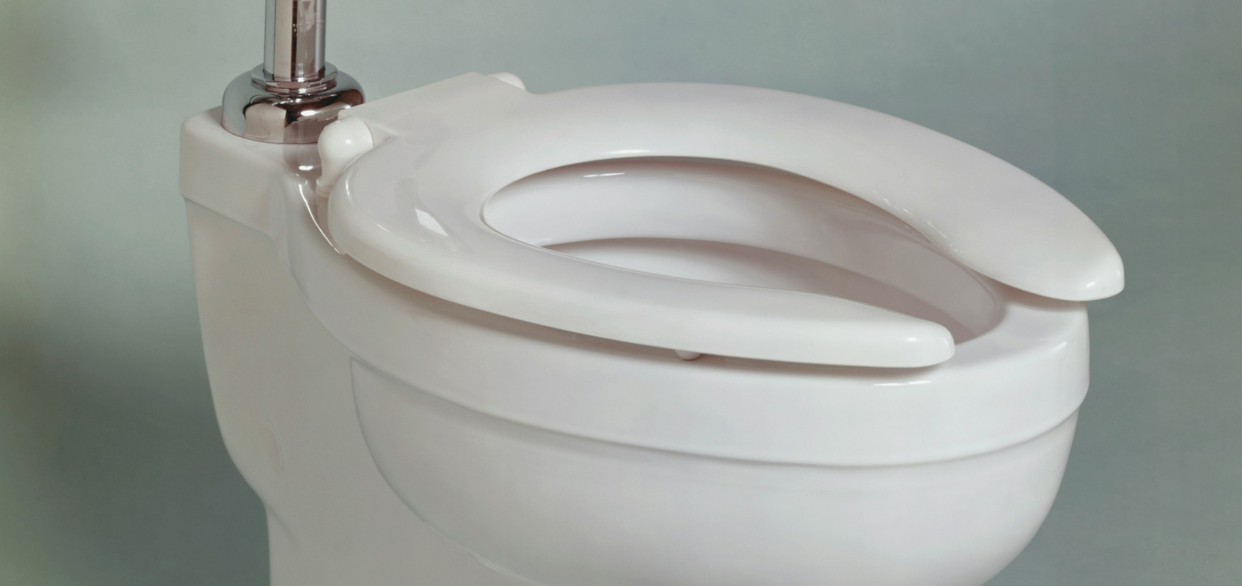 How Probiotics Regulate Your Poop: A Comprehensive Guide