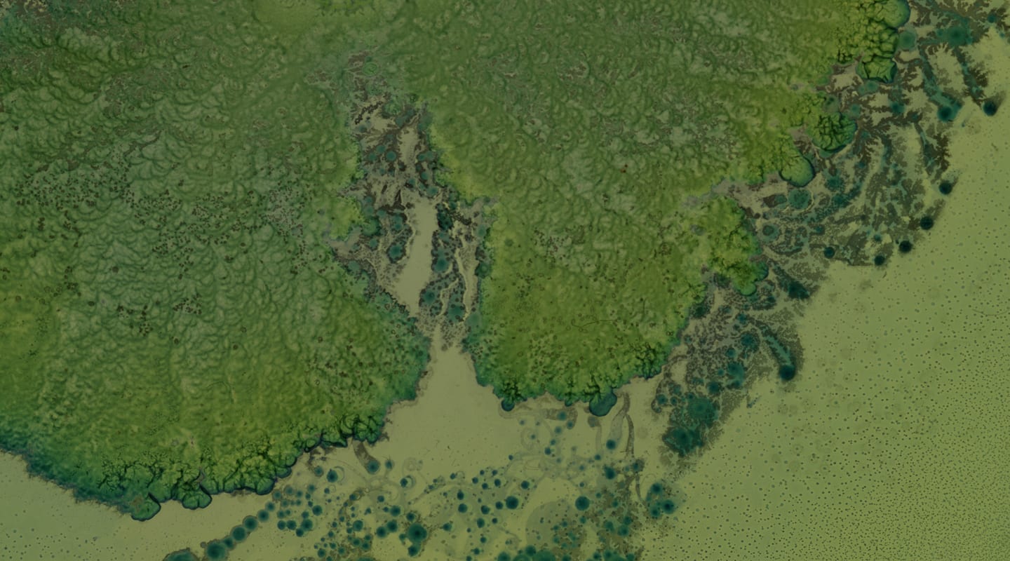 Person collecting water sample in rocky area; close-up of test tube with water and green particles.