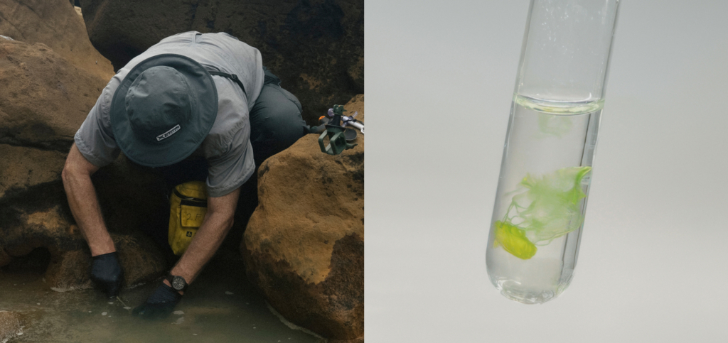 Person collecting water sample in rocky area; close-up of test tube with water and green particles.