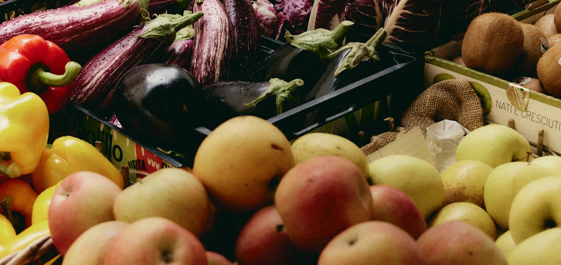 The ‘Leaky Gut Diet’ Demystified: What Does Science Say?