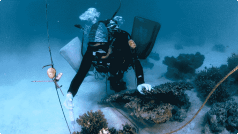 Scuba diver underwater