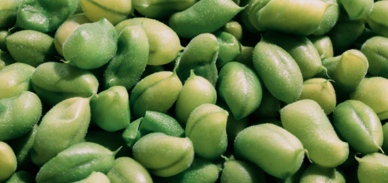 Best Foods for Your Gut Microbiome: A Science-Backed Guide