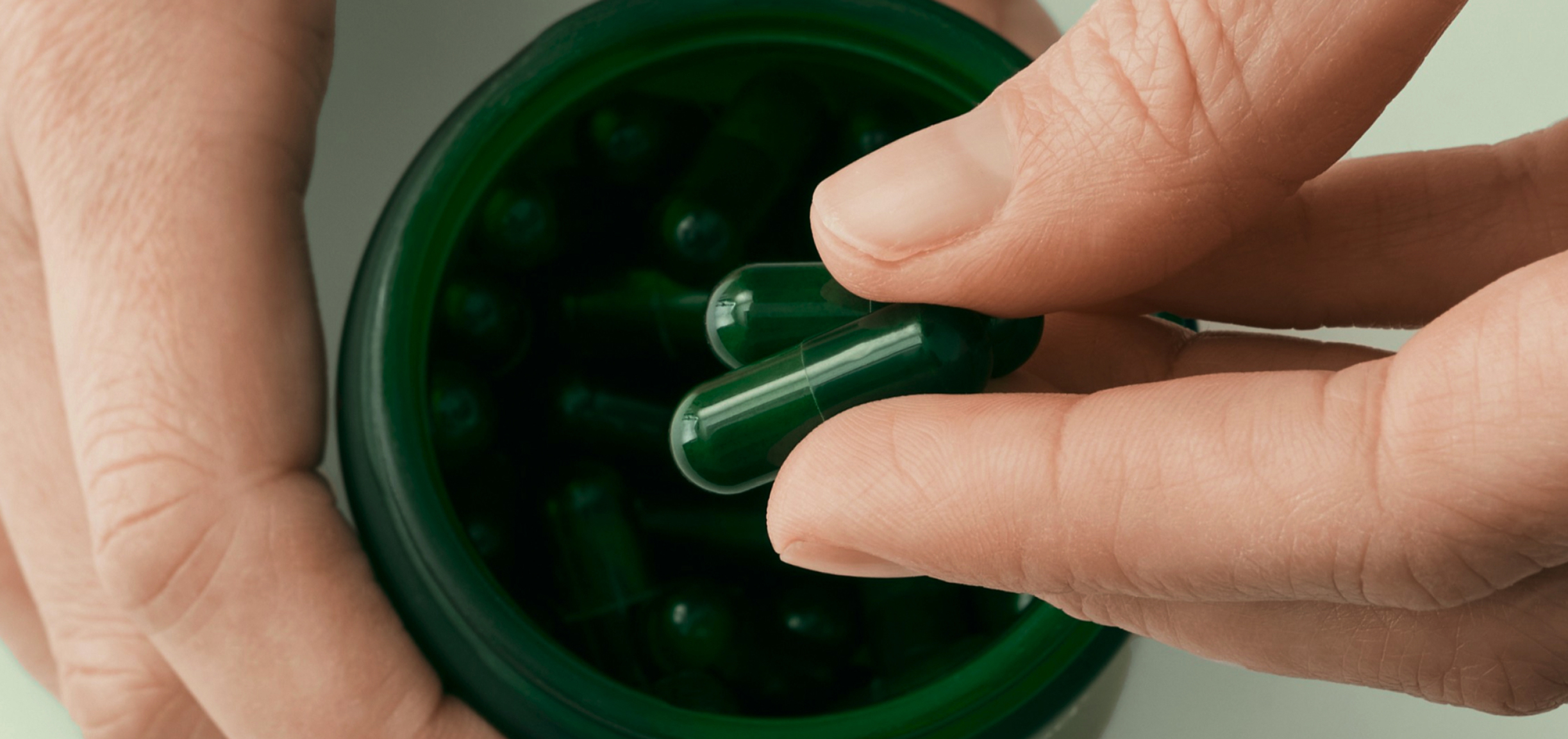 Bifidobacterium lactis: Your Gut’s Unsung Hero? A Science-Backed Guide