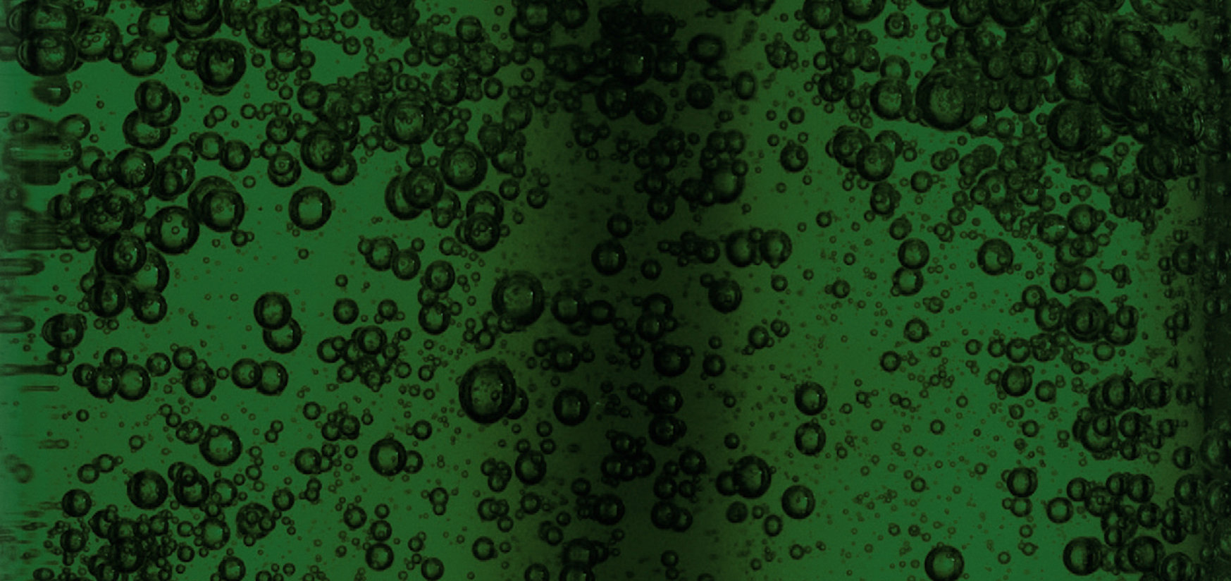 Who Should Not Take Probiotics? The Science-First Guide to Gut Safety