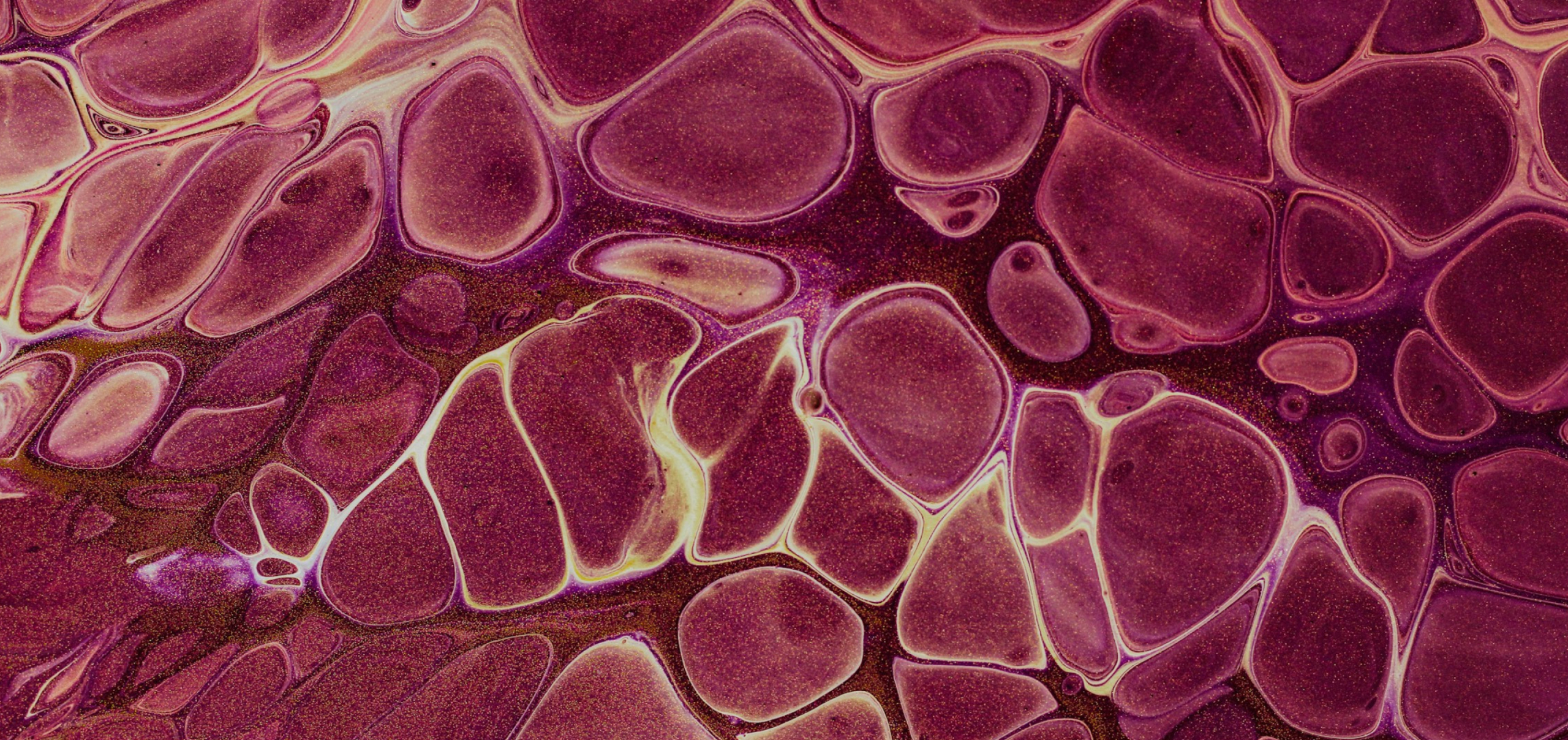 Your Cells Don’t Need Hype. They Need Help.