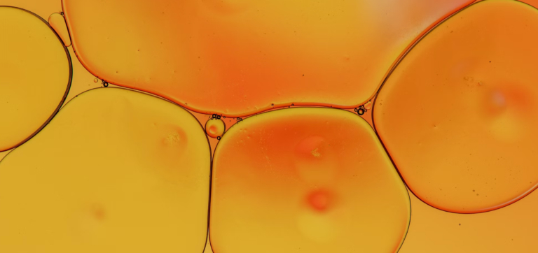 Attention, Please: Comparing Magic Mind, Alpha Brain, and Med-Lock AM-02™ Focus Supplements