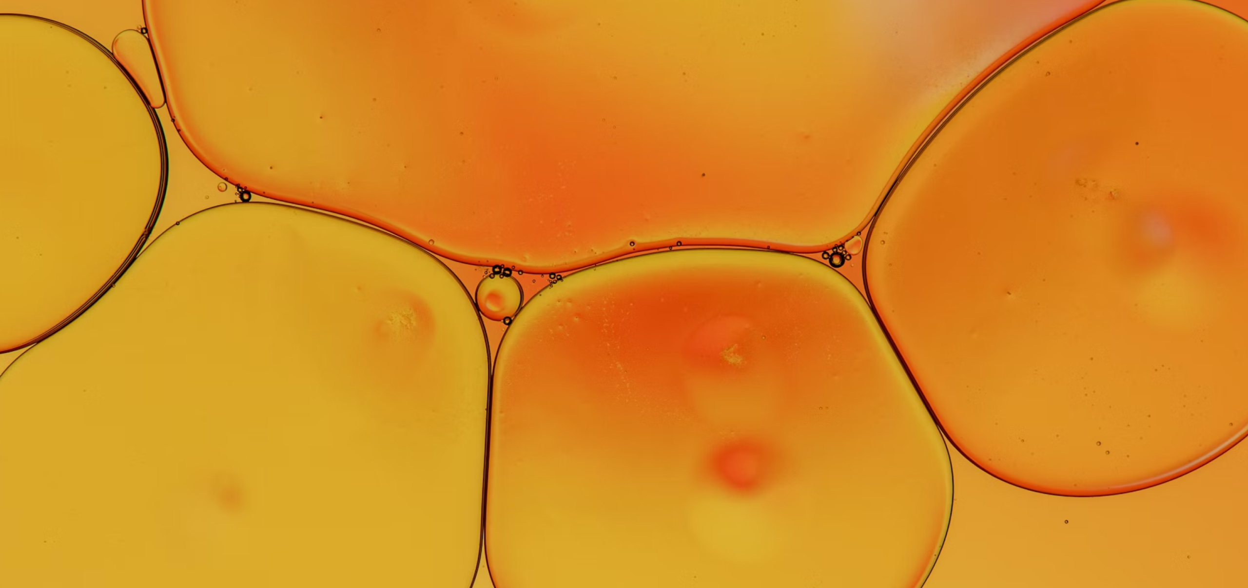 Attention, Please: Comparing Magic Mind, Alpha Brain, and Med-Lock AM-02™ Focus Supplements